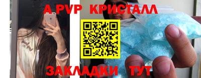 spice Кингисепп
