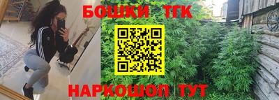 spice Кингисепп