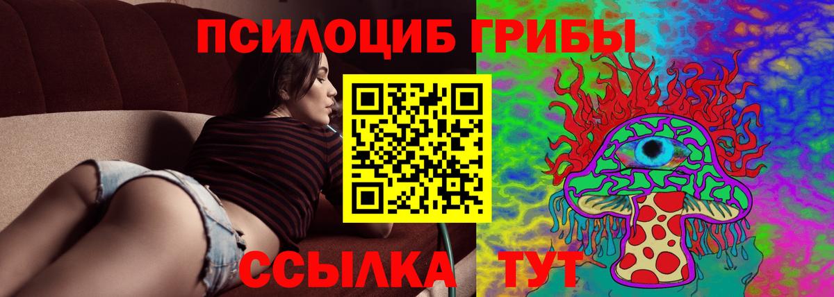 Псилоцибиновые грибы GOLDEN TEACHER  Вход с VPN  Галлюциногенные грибы GOLDEN TEACHER  Чернушка 